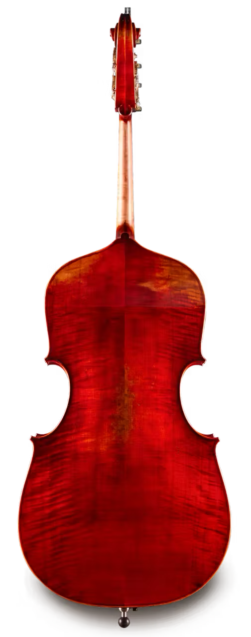 Andreas Eastman VB105 Hybrid Bass | Blackerby Violin Shop